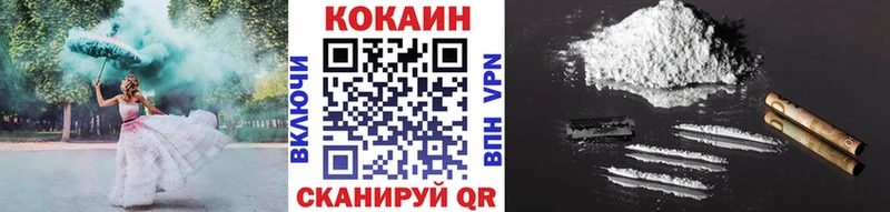 Cocaine Fish Scale  Купить закладки  Чкаловск 