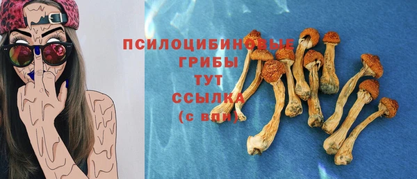 тгк Арсеньев