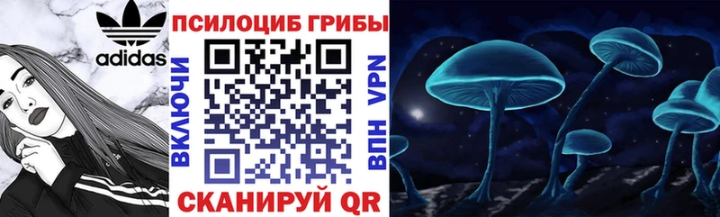 Купить  Чкаловск  Галлюциногенные грибы мицелий 
