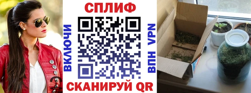 Купить закладки  Чкаловск  Конопля семена 